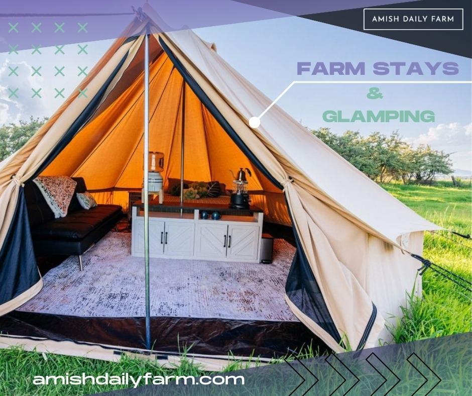 Looking to escape the hustle and bustle of everyday life and reconnect with nature? Amish Daily Farm, located in the beautiful town of Whitehall, Montana, offers a one-of-a-kind opportunity to experience life on a working farm with the comforts of modern amenities.