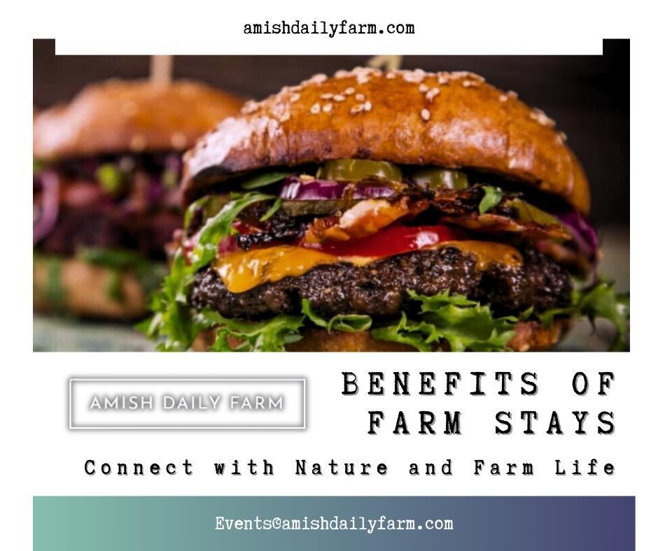 Farm stays aren’t just about escaping the city—they also provide a variety of benefits for those looking for a healthy, enriching vacation experience.